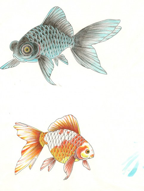 出目金と金魚のタトゥーデザイン画像