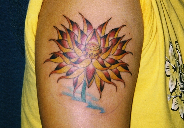 lotus0022
